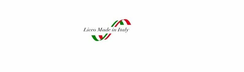Il Liceo del MADE IN ITALY “Virgilio Marone” di Avellino